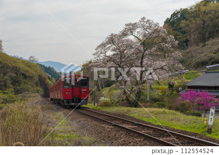 線路と列車と桜(大分県竹田市) 線路と列車と桜(大分県竹田市) 112554524