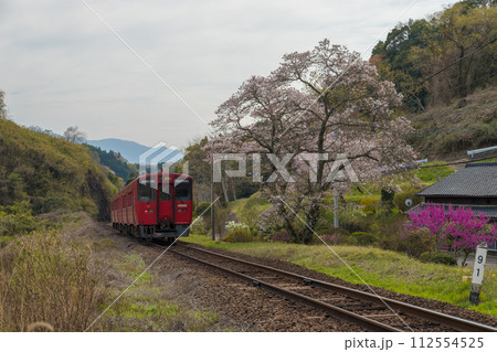 線路と列車と桜(大分県竹田市) 線路と列車と桜(大分県竹田市) 112554525