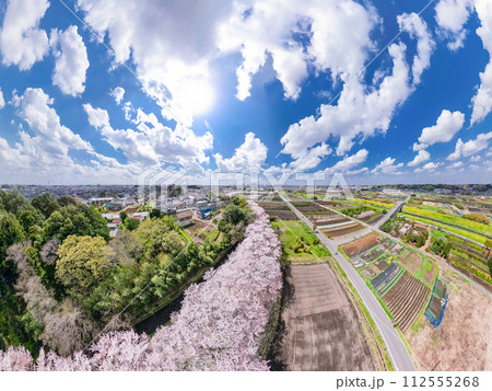 「埼玉県」超広角カメラで撮影した春の見沼田んぼ 桜回廊 「埼玉県」超広角カメラで撮影した春の見沼田んぼ 桜回廊 112555268