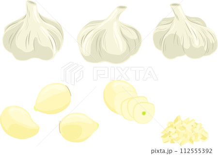 シンプルなにんにくのイラスト 112555392