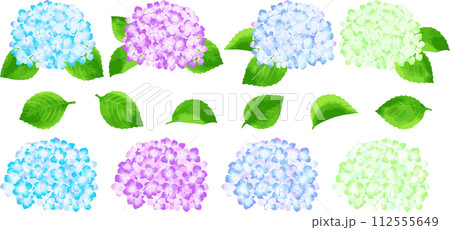 あじさい 梅雨 パーツ 花 葉 112555649
