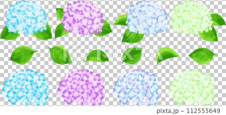 あじさい 梅雨 パーツ 花 葉 112555649