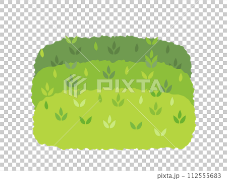 茶園的插圖 112555683