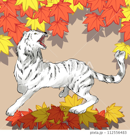 白虎の手描きのイラスト 白虎の手描きのイラスト 112556483