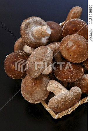 椎茸 112556699