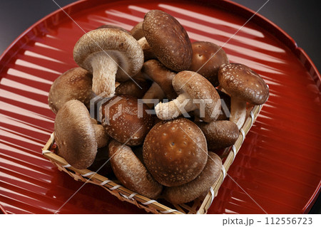 椎茸 112556723