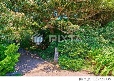 神奈川県横須賀市の荒崎公園の夕日の丘への入口 112557449