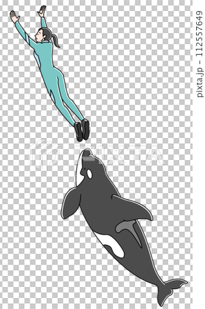 Killer whale show (color) Killer whale show (color) 112557649
