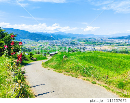 姨捨の棚田(6月) 姨捨の棚田(6月) 112557673