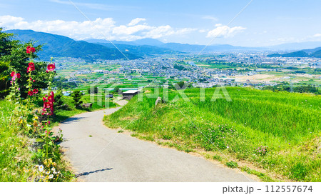 姨捨の棚田(6月) 姨捨の棚田(6月) 112557674