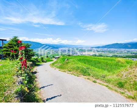 姨捨の棚田(6月) 姨捨の棚田(6月) 112557677