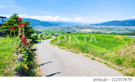 姨捨の棚田(6月) 姨捨の棚田(6月) 112557679