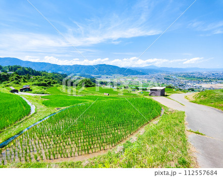 姨捨の棚田(6月) 姨捨の棚田(6月) 112557684