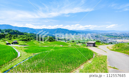 姨捨の棚田（6月） 112557685