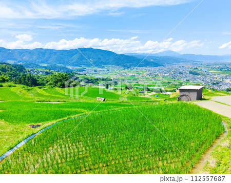 姨捨の棚田(6月) 姨捨の棚田(6月) 112557687