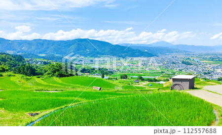 姨捨の棚田(6月) 姨捨の棚田(6月) 112557688