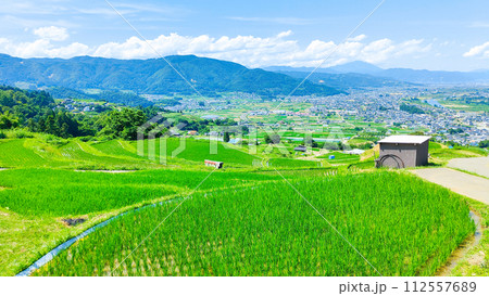 姨捨の棚田(6月) 姨捨の棚田(6月) 112557689