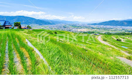 姨捨の棚田(6月) 姨捨の棚田(6月) 112557713