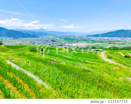 姨捨の棚田（6月） 112557715