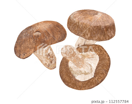 しいたけ（3本）① 112557784