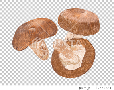 しいたけ（3本）① 112557784