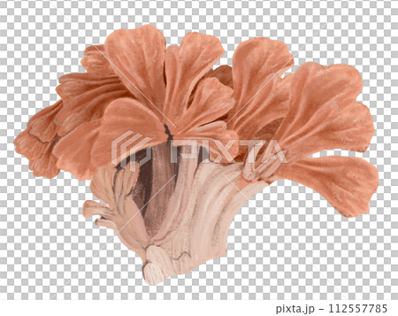 Dancers Dancers 112557785