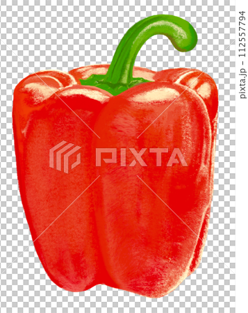 パプリカ（1個）レッド 112557794