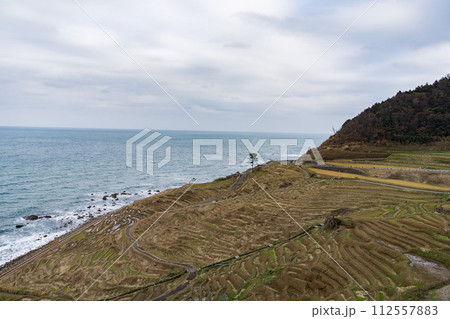 能登半島地震前の白米千枚田を望む棚田 112557883