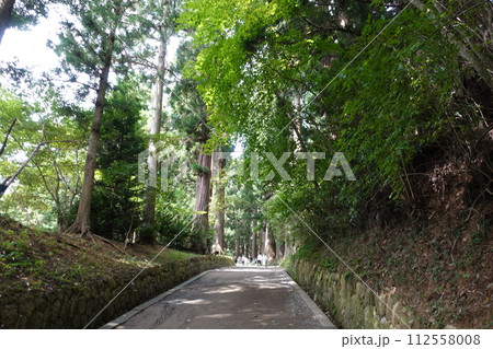 中尊寺参道 112558008