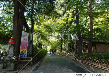 中尊寺参道 112558024