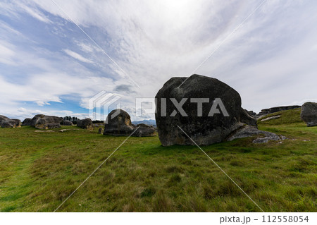ニュージーランドのエレファントロック ニュージーランドのエレファントロック 112558054
