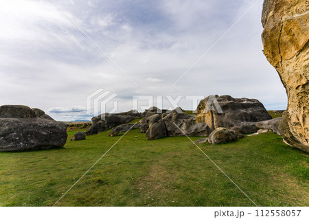 ニュージーランドのエレファントロック 112558057