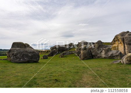 ニュージーランドのエレファントロック 112558058