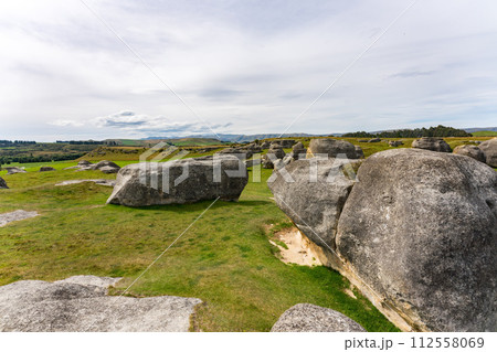 ニュージーランドのエレファントロック ニュージーランドのエレファントロック 112558069