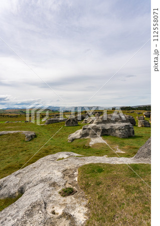 ニュージーランドのエレファントロック 112558071