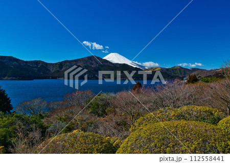神奈川県　恩師箱根公園から芦ノ湖と富士山の風景 112558441