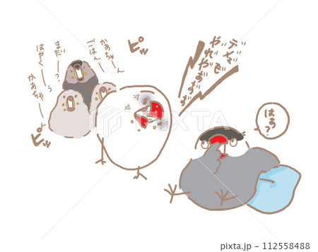 ワンオペ育児の白文鳥と鼻くそほじる桜文鳥 112558488