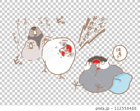 ワンオペ育児の白文鳥と鼻くそほじる桜文鳥 112558488