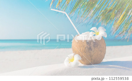 青い海とヤシの実のジュースの南国のイメージ 青い海とヤシの実のジュースの南国のイメージ 112559538