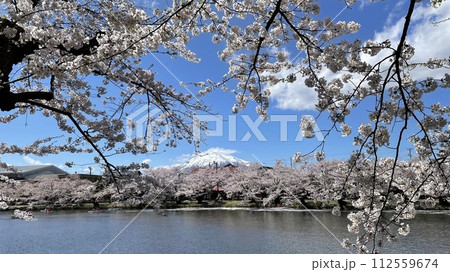 まるで富士 112559674