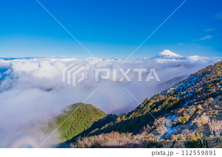 （静岡県）降雪した達磨山高原から、駿河湾大雲海の向こうに富士山 112559891