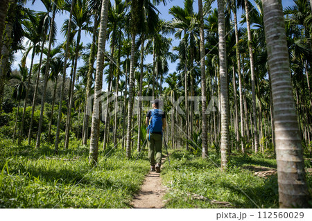 Hiking in tropical forest mountain Hiking in tropical forest mountain 112560029