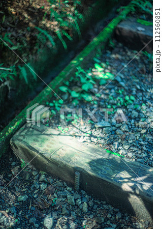 遊歩道の階段にあたる光 112560851