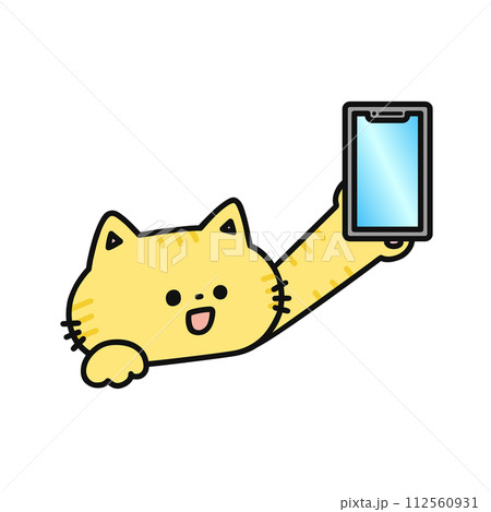 スマートフォンを持ったかわいい猫 112560931