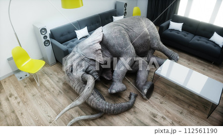 funny elephant sleeping in room. 3d rendering. 112561190