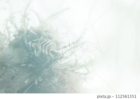 ドライフラワーの背景画像 112561351