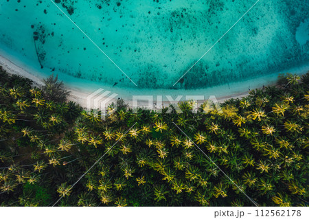 Aerial view island and coconut groves on the island in the morning Aerial view island and coconut groves on the island in the morning 112562178