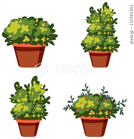 Assorted Potted Plants Collection Assorted Potted Plants Collection 112562301