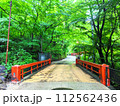 新緑と赤が綺麗な河鹿橋 112562436