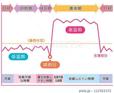 基礎体温のグラフ　女性ホルモン　妊娠　月経 112563172